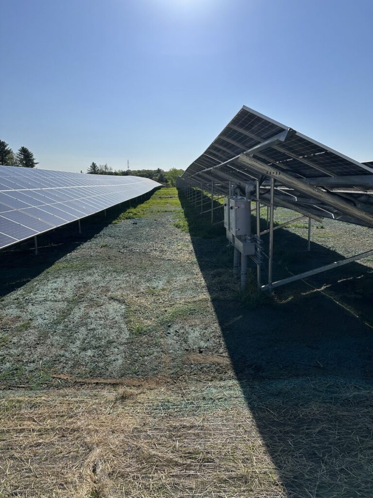 Hydroseeded aisle between solar panel rows during site stabilization