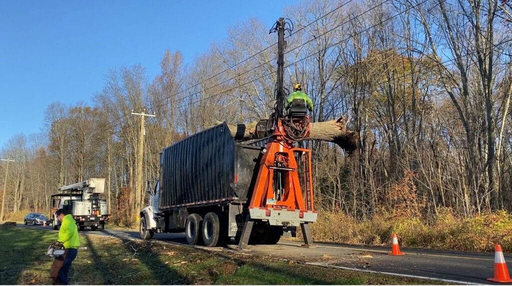 Bill's Landscaping grapple truck loading a storm-damaged tree trunk from a Connecticut roadside